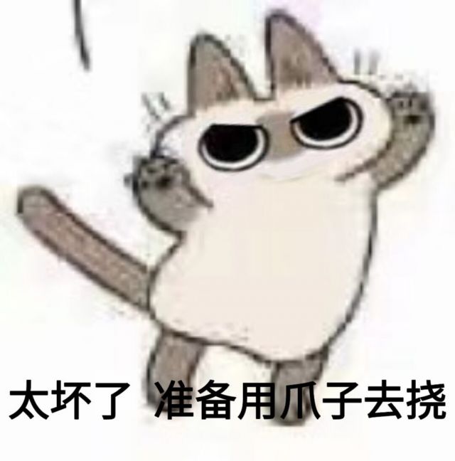 抖音太坏了猫表情包分享