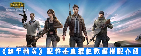 《和平精英》配件垂直握把数据搭配介绍