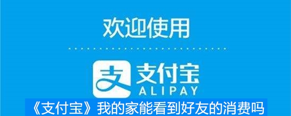 《支付宝》我的家能看到好友的消费吗