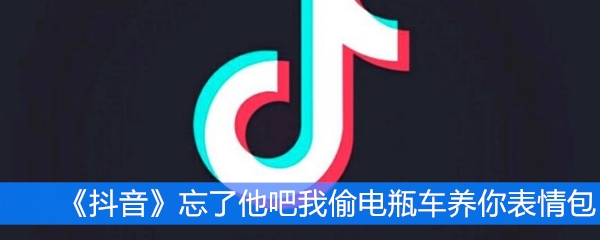 《抖音》忘了他吧我偷电瓶车养你表情包