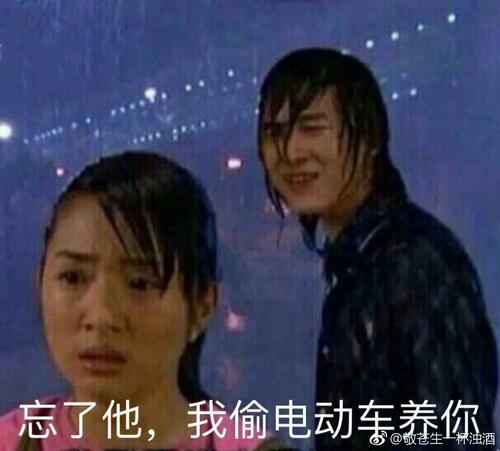 《抖音》忘了他吧我偷电瓶车养你表情包