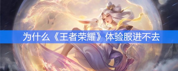 为什么《王者荣耀》体验服进不去