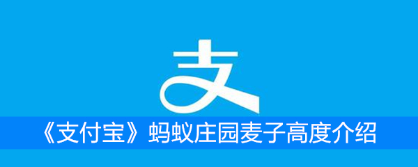 《支付宝》蚂蚁庄园麦子高度介绍