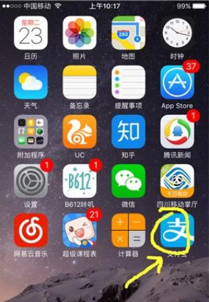 《支付宝》怎么交违章罚款