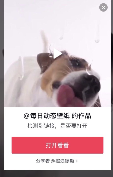 《抖音》狗舔屏动态壁纸分享