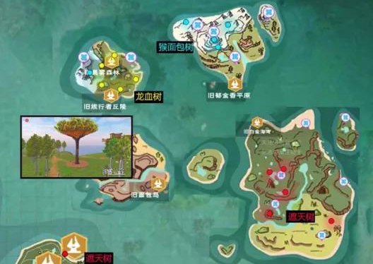 《创造与魔法》龙血树种子作用分析