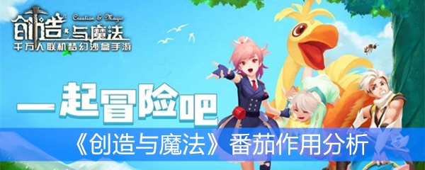 《创造与魔法》番茄作用分析