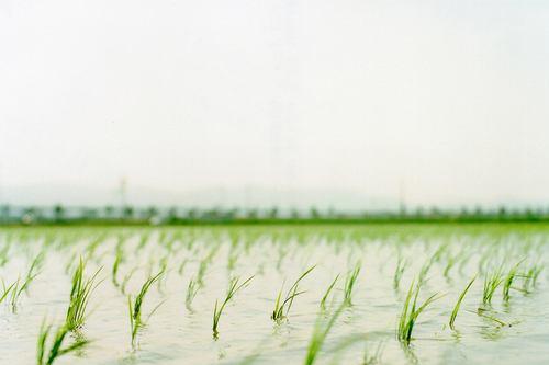 《微信》2020最新的网名