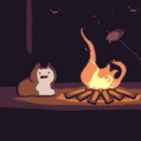 《抖音》追火车的猫表情包大全