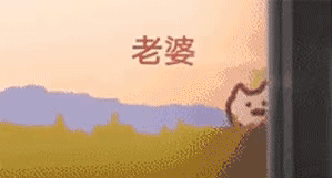 《抖音》追火车的猫表情包大全