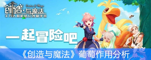 《创造与魔法》葡萄作用分析