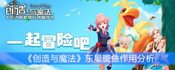 《创造与魔法》东星斑鱼作用分析