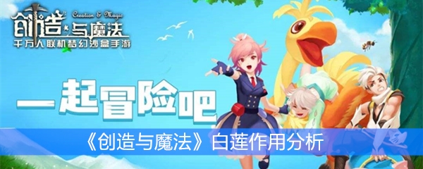 《创造与魔法》白莲作用分析
