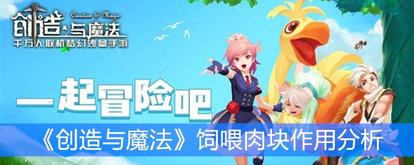 《创造与魔法》饲喂肉块作用分析