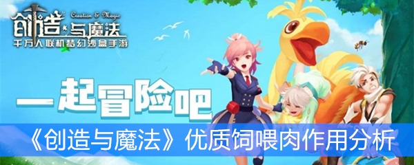 《创造与魔法》优质饲喂肉作用分析
