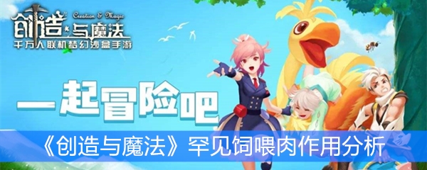 《创造与魔法》罕见饲喂肉作用分析