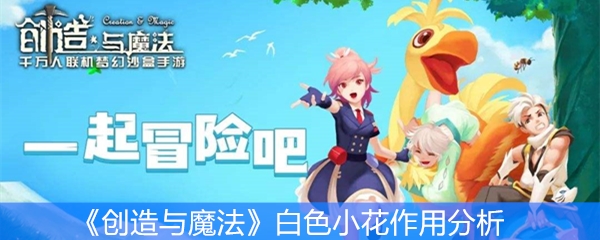 《创造与魔法》白色小花作用分析