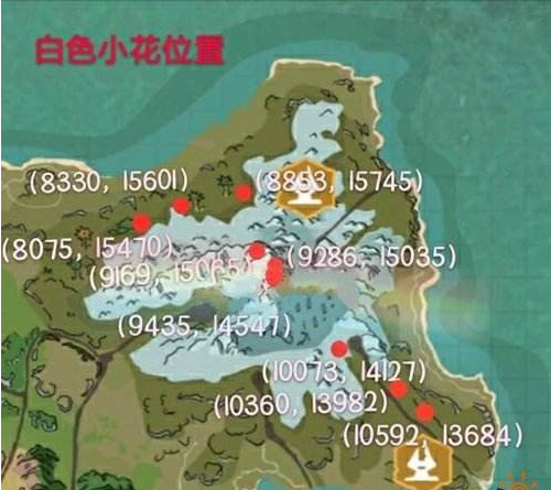 《创造与魔法》白色小花作用分析
