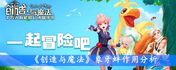 《创造与魔法》象牙蚌作用分析
