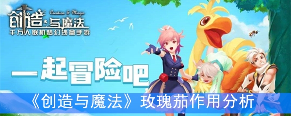 《创造与魔法》玫瑰茄作用分析