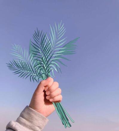 《抖音》手握花束图文教程详解