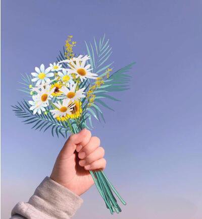 《抖音》手握花束图文教程详解