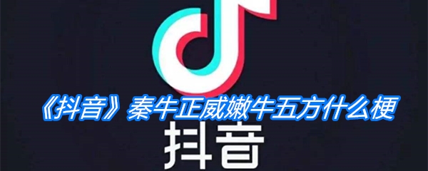 《抖音》秦牛正威嫩牛五方什么梗
