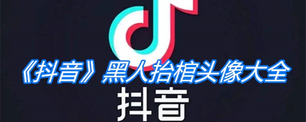 《抖音》黑人抬棺头像大全