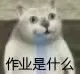 《抖音》是刀我不信结局肯定是甜的表情包