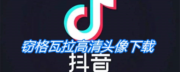 窃格瓦拉高清头像下载