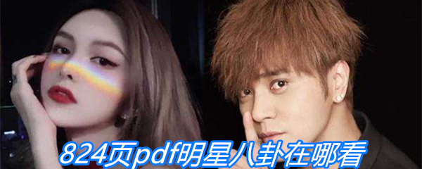 824页pdf明星八卦在哪看