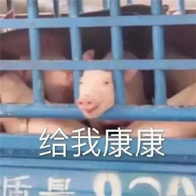《抖音》吃瓜专用表情包