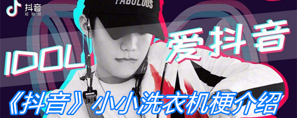 《抖音》小小洗衣机梗介绍