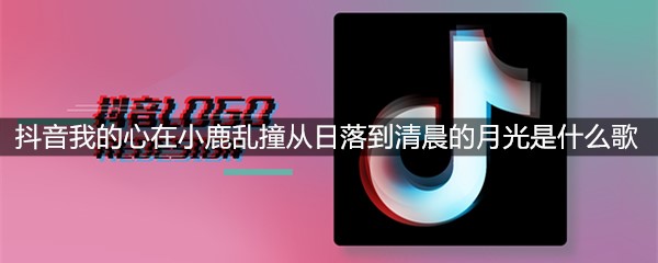 抖音我的心在小鹿乱撞从日落到清晨的月光是什么歌