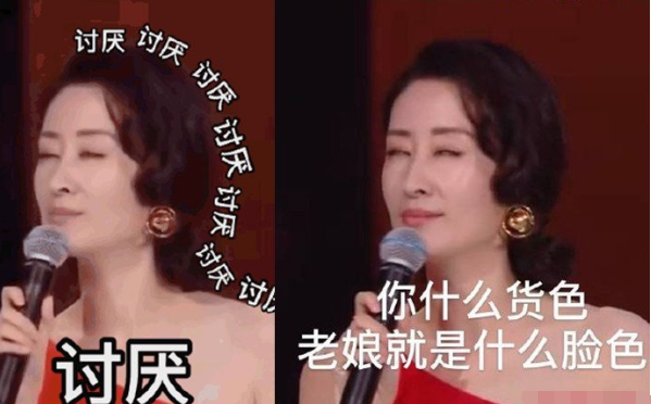 抖音刘敏涛唱歌表情包分享