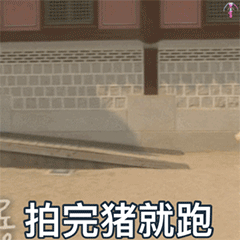 微信拍一拍表情包分享