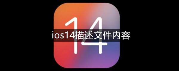 ios14描述文件内容