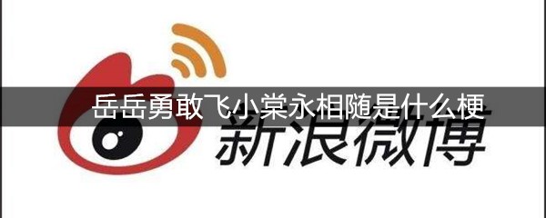 岳岳勇敢飞小棠永相随是什么梗