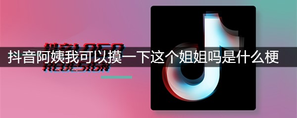 抖音阿姨我可以摸一下这个姐姐吗是什么梗