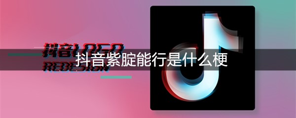 抖音紫腚能行是什么梗