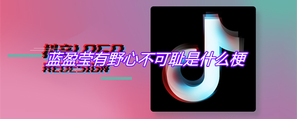 蓝盈莹有野心不可耻是什么梗
