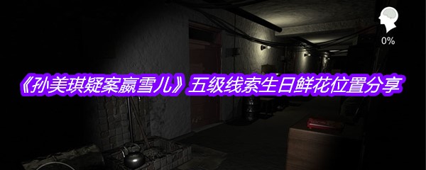 《孙美琪疑案嬴雪儿》五级线索生日鲜花位置分享