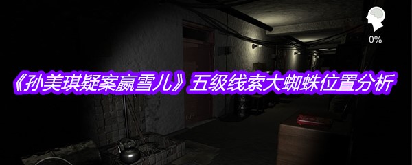 《孙美琪疑案嬴雪儿》五级线索大蜘蛛位置分析