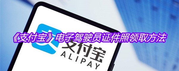 《支付宝》电子驾驶员证件照领取方法