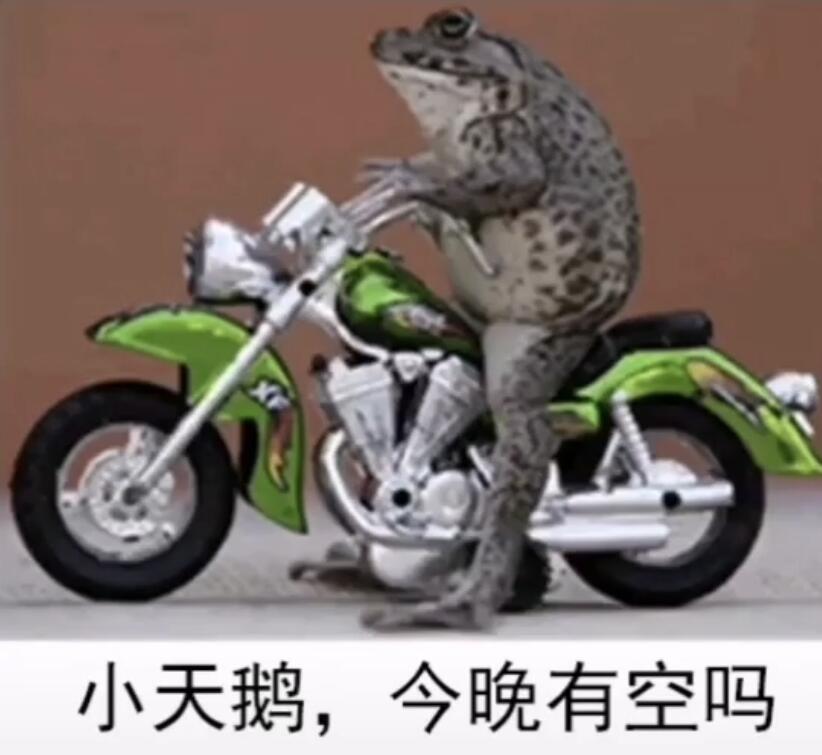 抖音小天鹅今晚有空吗表情包