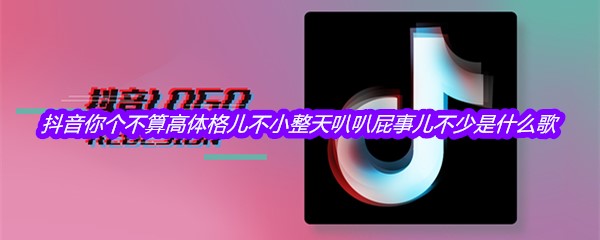 抖音你个不算高体格儿不小整天叭叭屁事儿不少是什么歌