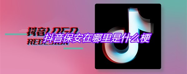 抖音保安在哪里是什么梗