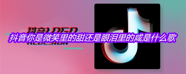 抖音你是微笑里的甜还是眼泪里的咸是什么歌