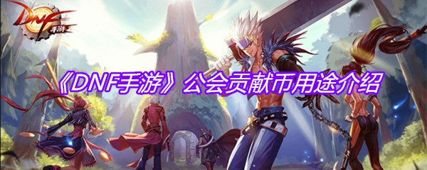 《DNF手游》公会贡献币用途介绍