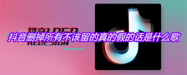 抖音删掉所有不该留的真的假的话是什么歌